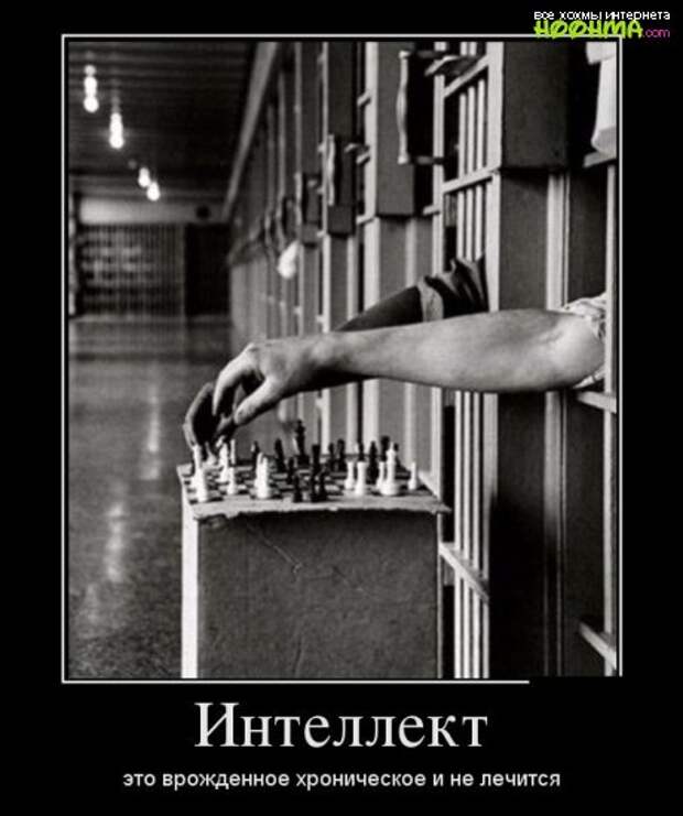 Смешные демотиваторы