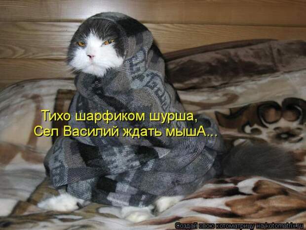 Тихо шарфиком шурша...