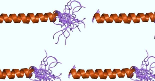 Эндотрахеальный сурфактант не сократил длительность ИВЛ у младенцев с бронхиолитом