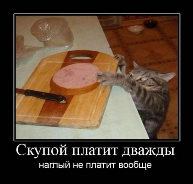 Демотиваторы