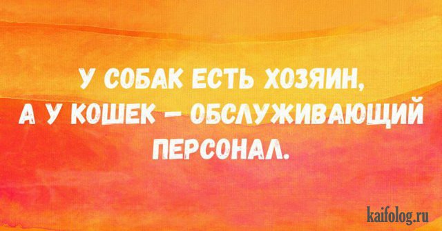 Открытки недели (45 картинок)