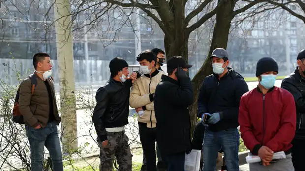 МВД России автоматически продлит трудовые патенты иностранцам