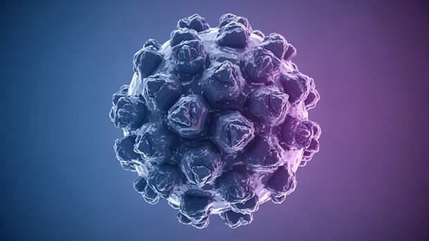 Нипах — что это за вирус и почему все о нем говорят? 