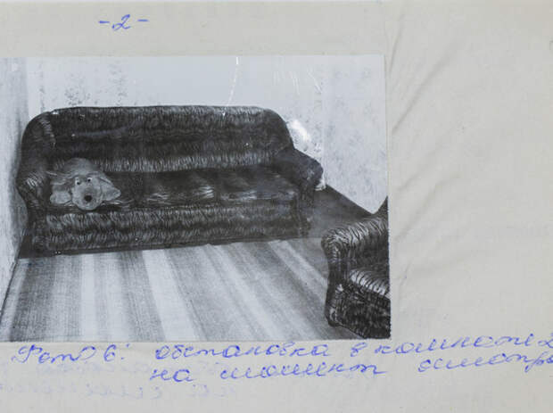 5 5