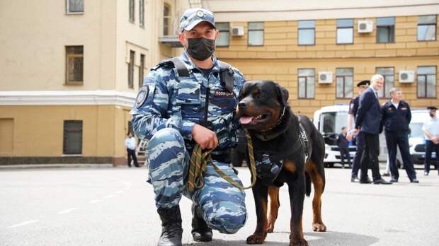 Легендарный адрес столичной полиции