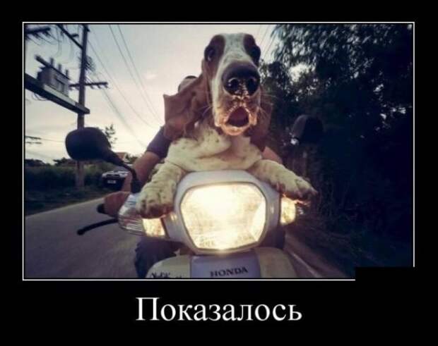 Демотиваторы