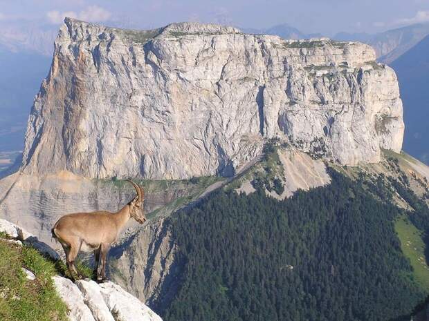 Одинокая вершина Mont Aiguille горы, франция, природа,