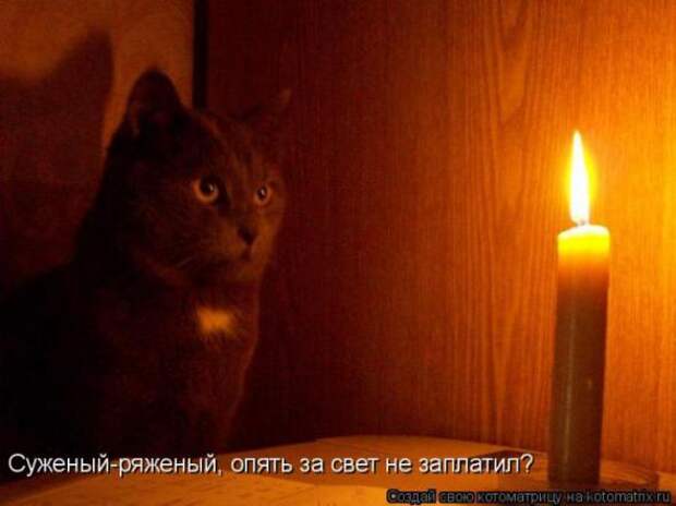 Котоматрицы (картинки с надписями)
