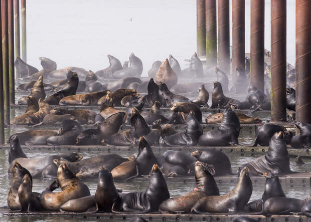 15 неотразимых снимков, победивших в конкурсе фотографии Nature Conservancy