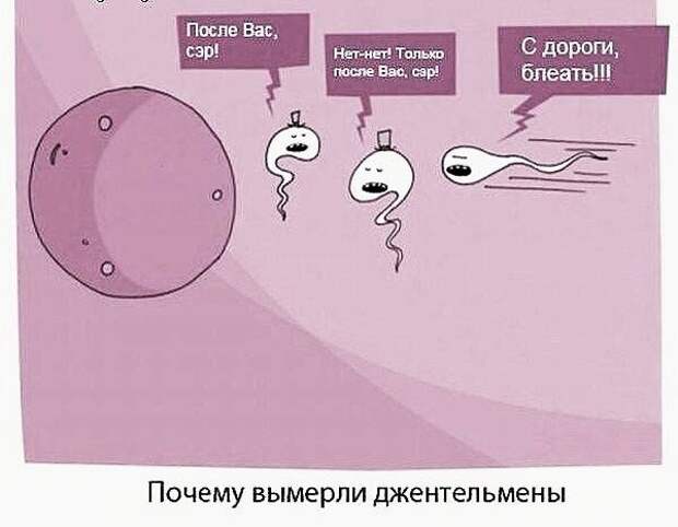 Смешные картинки с надписями прикол, юмор
