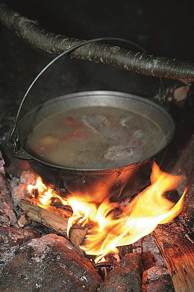 Как готовить уху на костре с водкой и головешкой