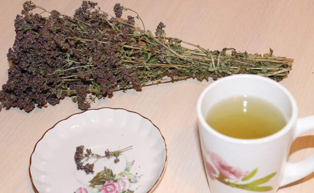 Зеленый чай Переходите с привычных напитков на зеленый чай. В его листьях содержится крайне полезный антиоксидант катехин, уже зарекомендовавший себя действенным средством борьбы с раком. 