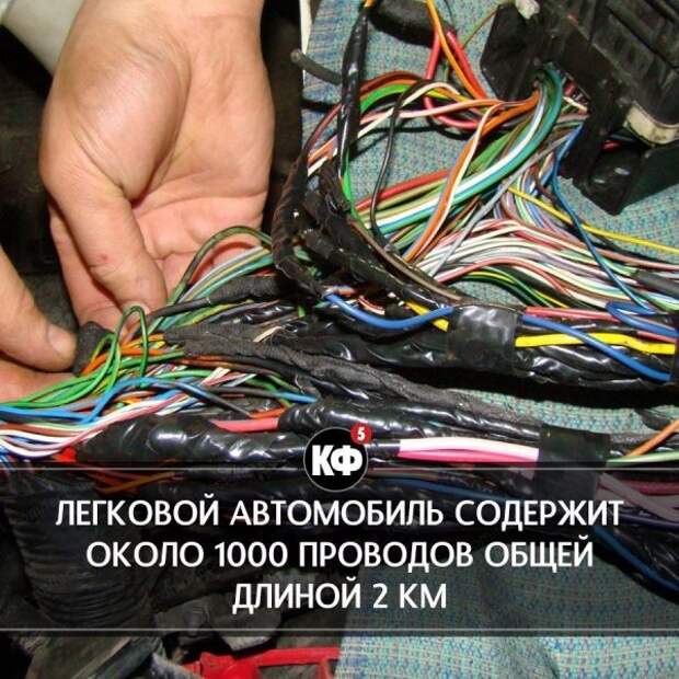 Краткие факты