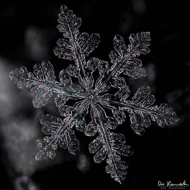 фото снежинки