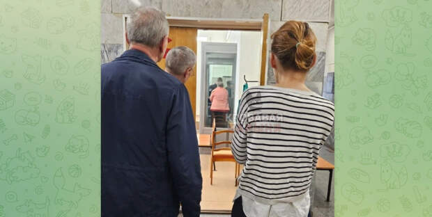 Пенсионерка из Подмосковья может сесть на 15 лет за «звёзды» в Telegram