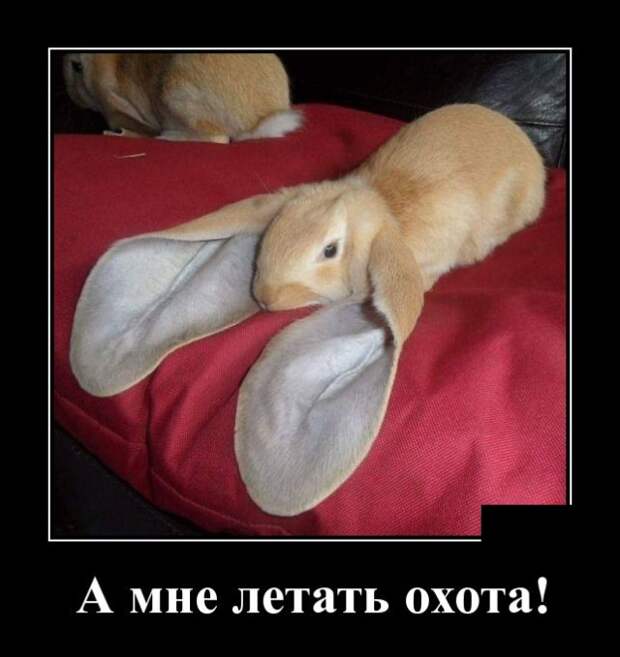 www.vsyako.net