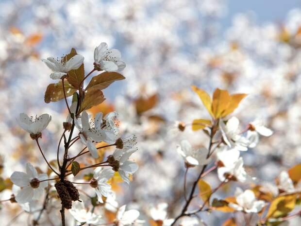 На выходных в Смоленске потеплеет и ветер сменит направление