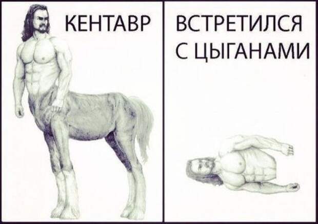 Самые прикольные картинки