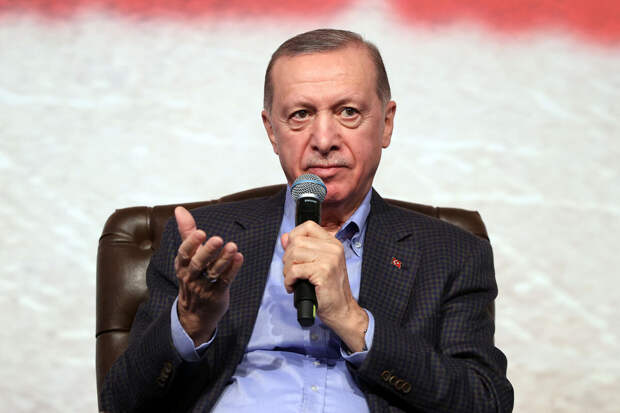 Декларация: Эрдоган задолжал более $250 тысяч и копит только в лирах