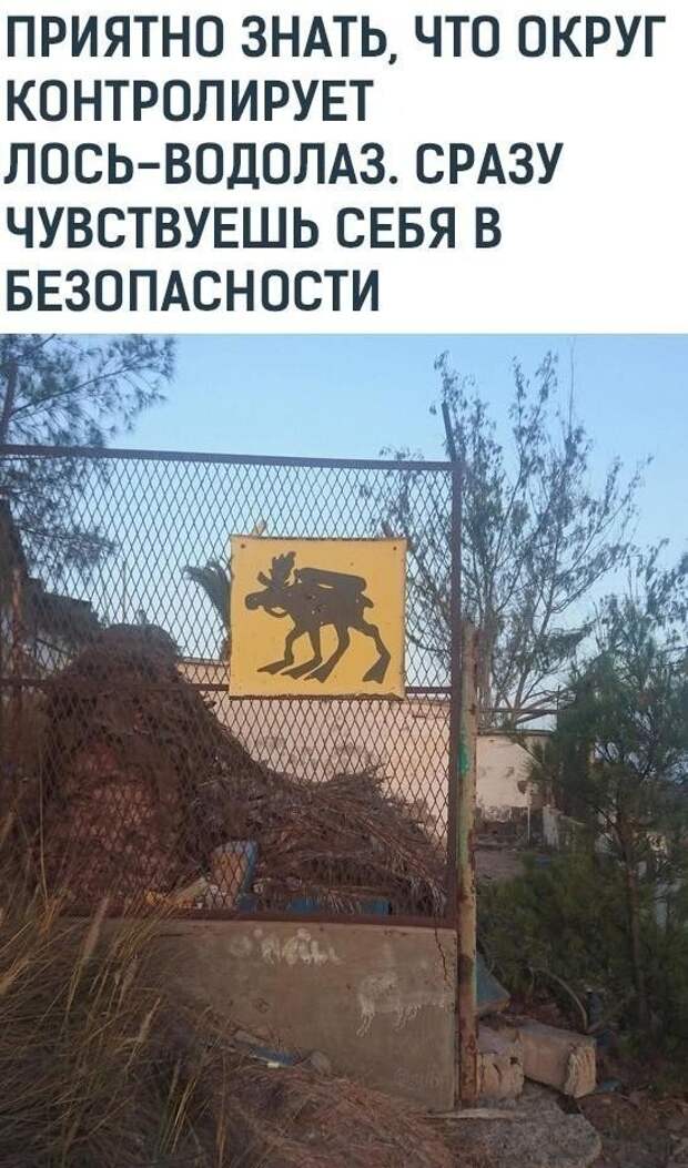 Как так-то? Как так-то?