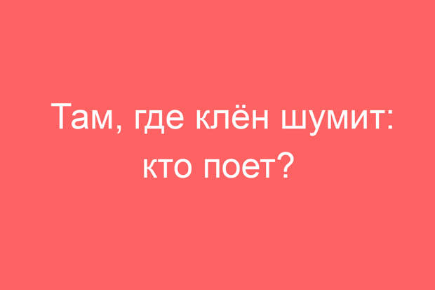 Там, где клён шумит: кто поет?