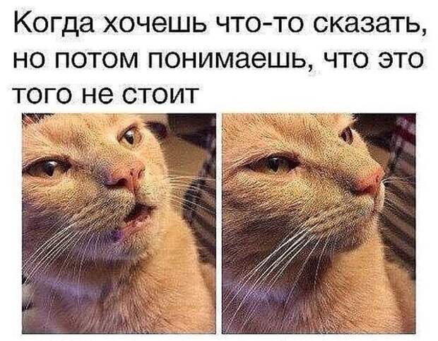 Прикольные и забавные картинки с надписью со смыслом (11 фото) Прикольные и забавные картинки с надписью со смыслом (11 фото)