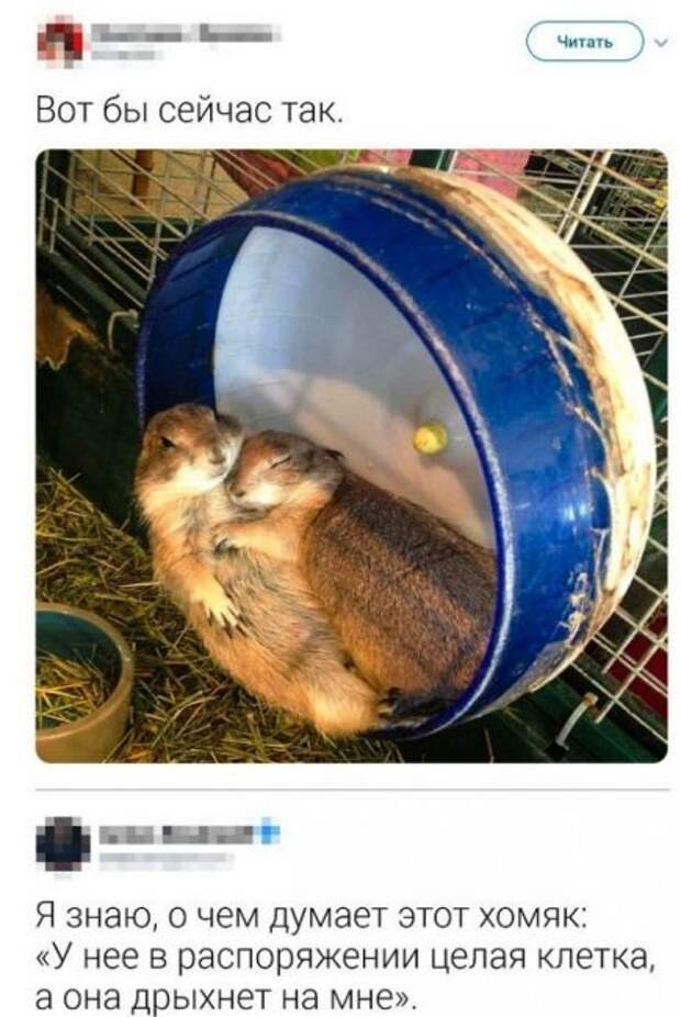 Крепкий сон