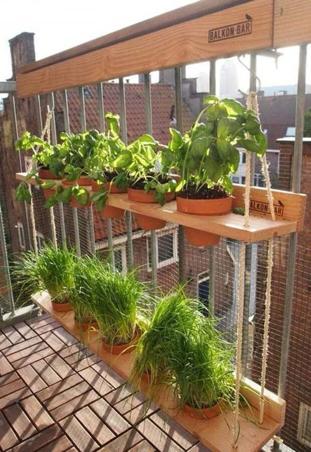 Если нет дачи, а посадить ароматные травы хочется: полезные идеи мини-огорода на балконе
