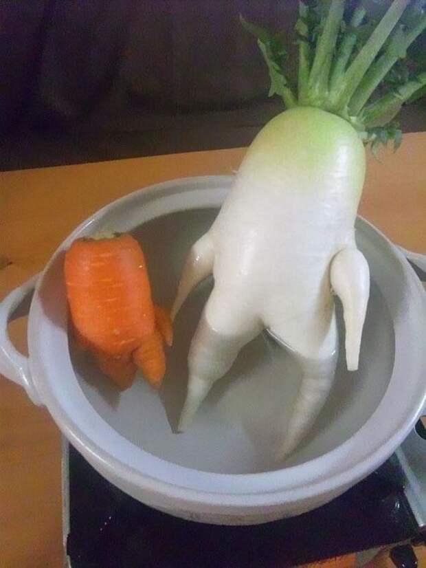 Овощи похожие на нечто другое овощ, овощи