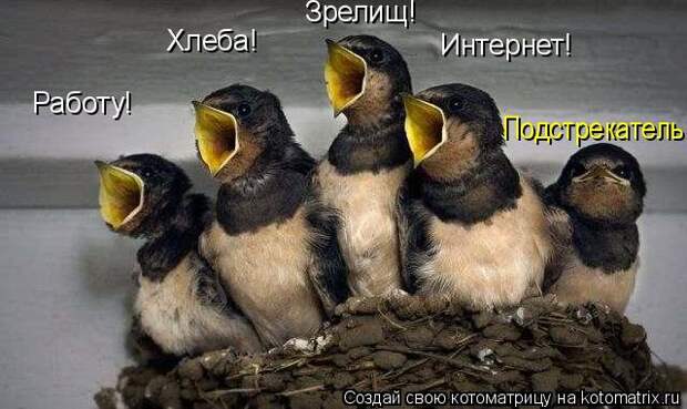 Котоматрица 8 (640x381, 47Kb)