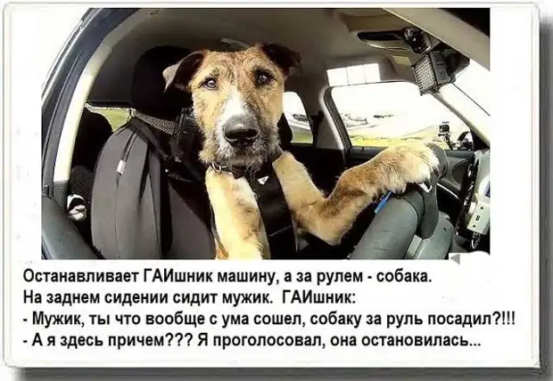 Ну как внученька твой грейпфрукт ? Бабушка! Сколько можно тебе объяснять не грейпфрукт а бойфренд! Ну как внученька твой грейпфрукт ? Бабушка! Сколько можно тебе объяснять не грейпфрукт а бойфренд! после, сколько, говорит, полный, Серьезно, хорошо, столько, както, кажется, стоит, задуматься, чтобы, отношения, связать, Знаешь, более, крепкими, узами, восторженно, всегда