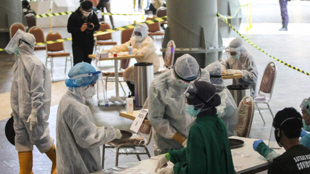 Легко спутать с гриппом: как вирус Нипах может попасть в Россию