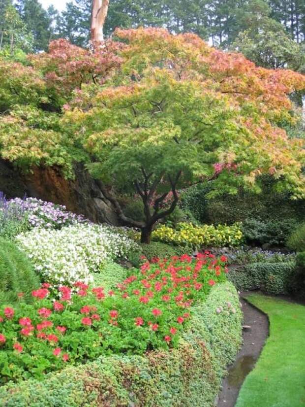 Место чарующее своей красотой и живой природой - The Butchart Gardens. 
