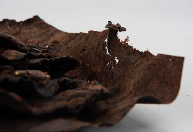 После прочтения статьи вы по-другому посмотрите на банановые очистки в своей урне