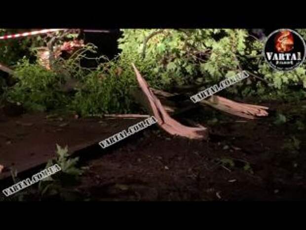 Во Львове во время урагана погибли два человека