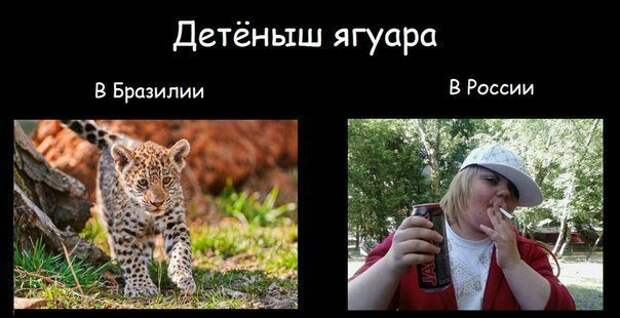 Всё в кучу 30