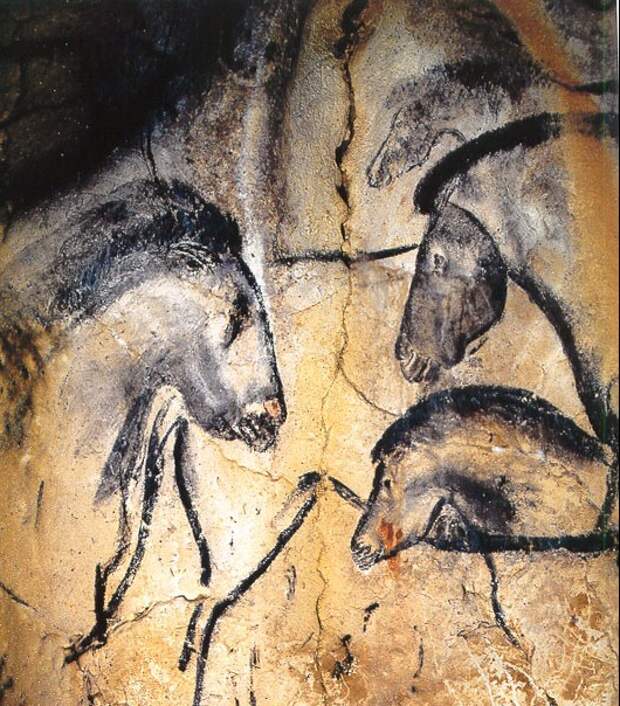 Франция, пещера Шове. Лошади. – 32-26 тыс. лет назад.