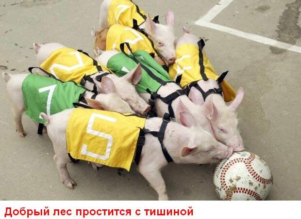 Улыбнись (15 картинок)