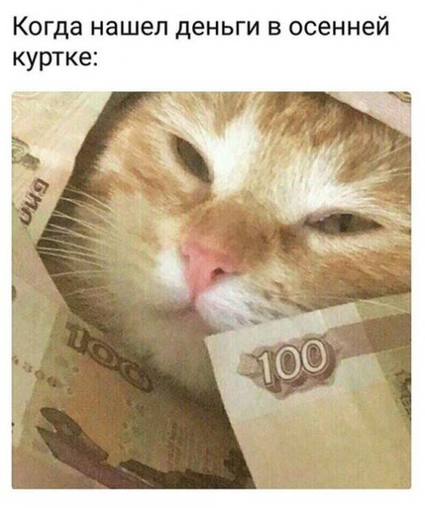 Свежие прикольные фотомемы (25 шт)