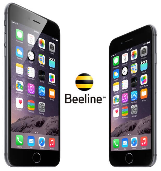 Bee-iPhone-6-rus-1