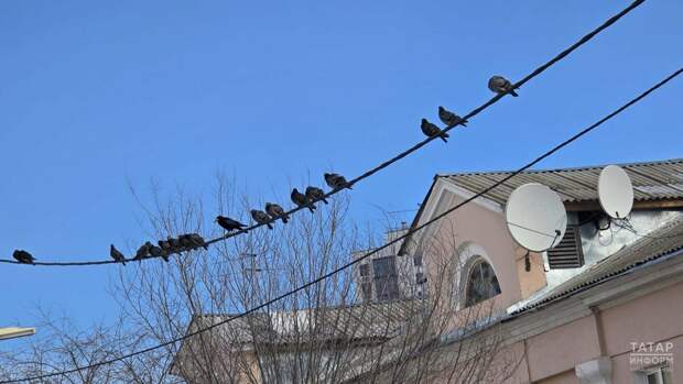 Атна ахырына Татарстанда +13 градуска кадәр җылыначак