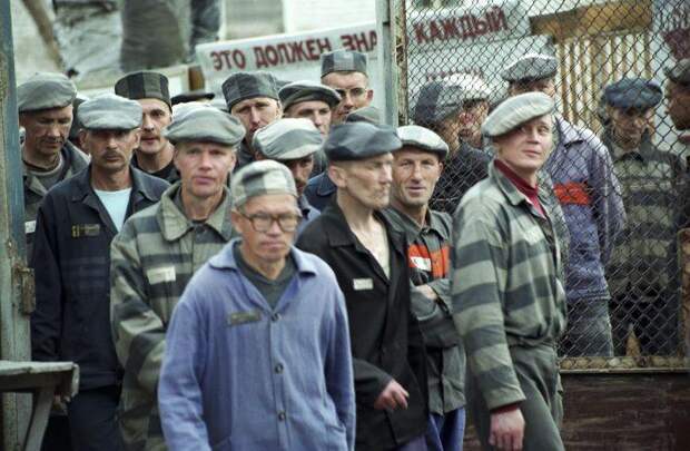 Хроники петушинного барака Хроники петушинного барака