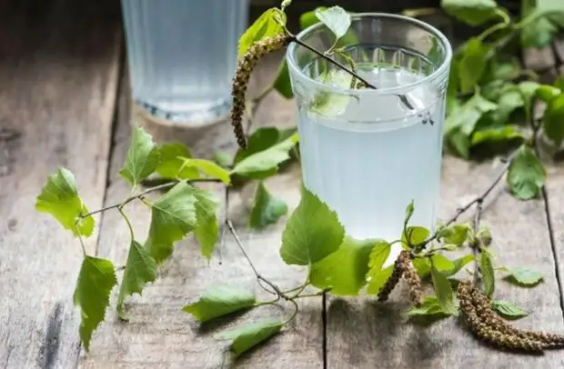 Какая польза от березового сока и почему еще наши бабушки обязательно его пили