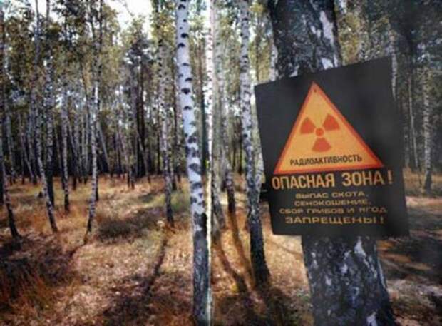 Чернобыль Чернобыль