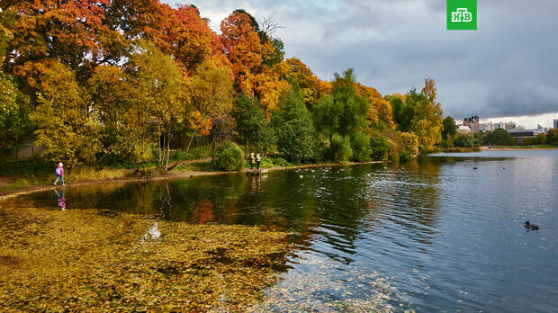 Ноябрь в России будет теплее обычного