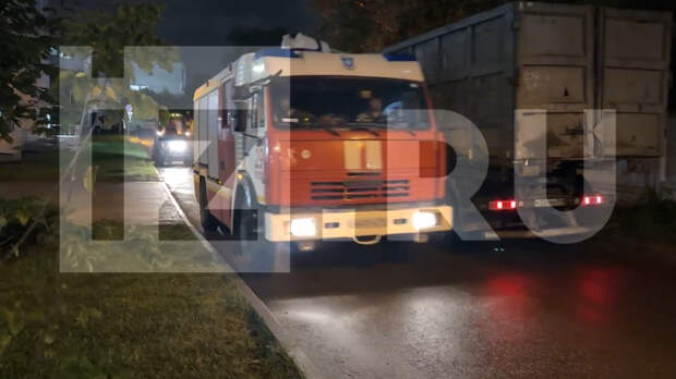 В Москве загорелся собачий приют: 13 животных погибли, один человек пострадал