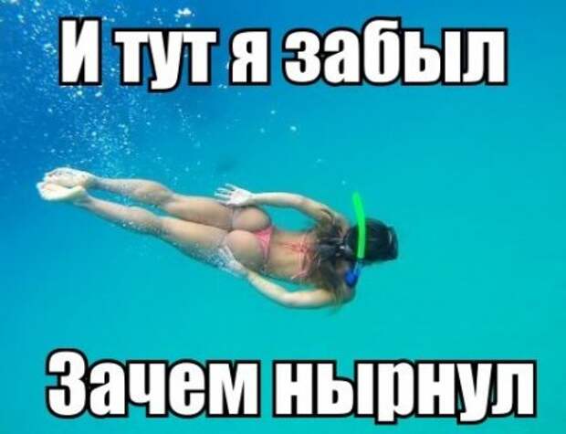Мемы и прочие приколы)