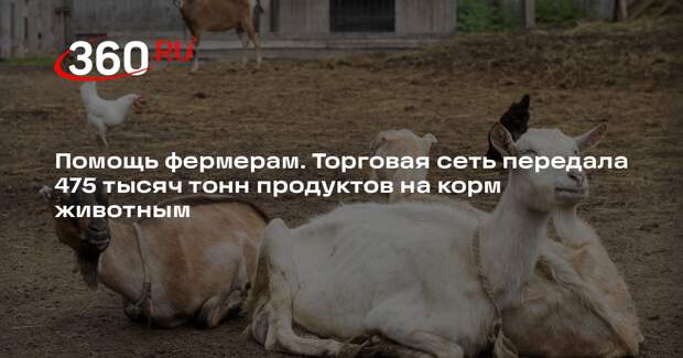 Помощь фермерам. Торговая сеть передала 475 тысяч тонн продуктов на корм животным