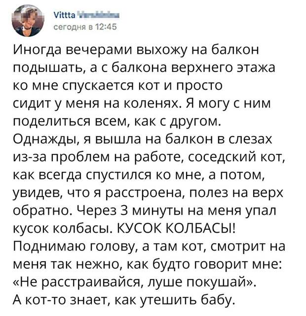Веселые картинки с надписями для настроения (11 фото) Веселые картинки с надписями для настроения (11 фото)