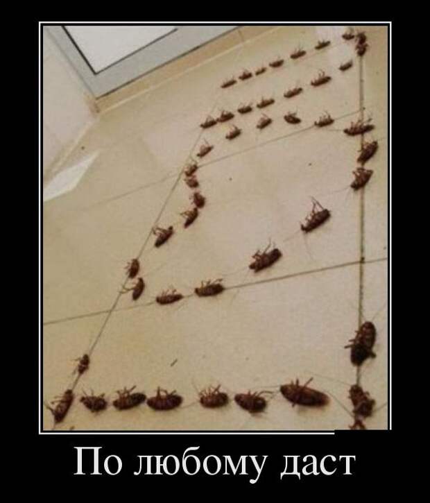 1449914009_25